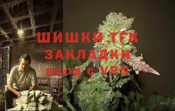 амф Бородино